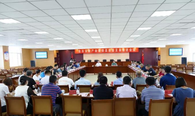 全市安防產(chǎn)業(yè)集群高質(zhì)量發(fā)展推進(jìn)會議在集團(tuán)公司舉行